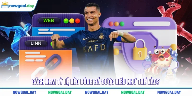 Cách xem tỷ lệ kèo bóng đá được hiểu như thế nào?