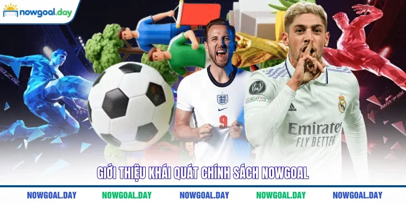 Giới thiệu khái quát chính sách Nowgoal